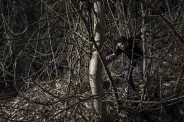 Foto: © Sebastian Magnani / Plattform Kultur Wallis