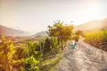 Rebweg, zwischen Siders und Salgesch - ganzjährig