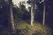 Pierre-Isaïe Duc © Plateforme Culture Valais | Sebastian Magnani